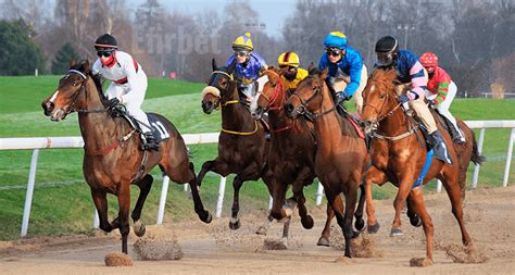 racebet 365|Paris hippiques .